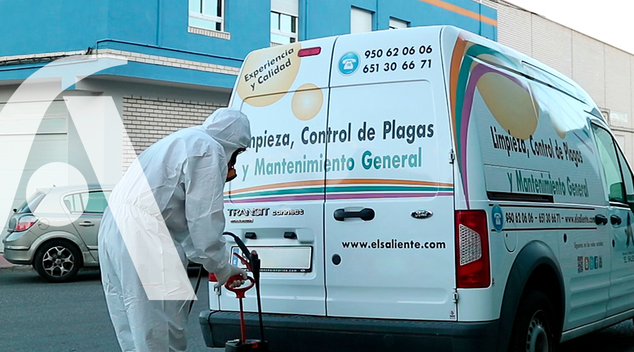 Desinsectación. Servicio de Control de Plagas de El Saliente
